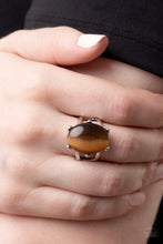 Load image into Gallery viewer, Paparazzi Enchantingly Everglades - Brown Ring
